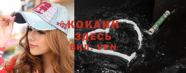 крисы Няндома