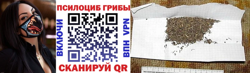Псилоцибиновые грибы GOLDEN TEACHER Тында